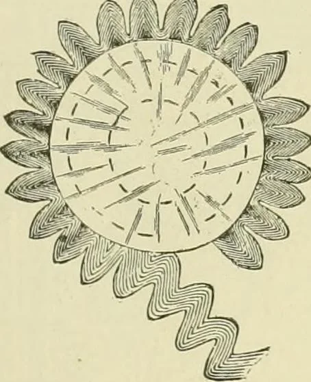 An illustration from Needle-craft: artistic and practical, 1889, leaf 250