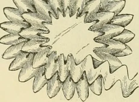 An illustration from Needle-craft: artistic and practical, 1889, leaf 250