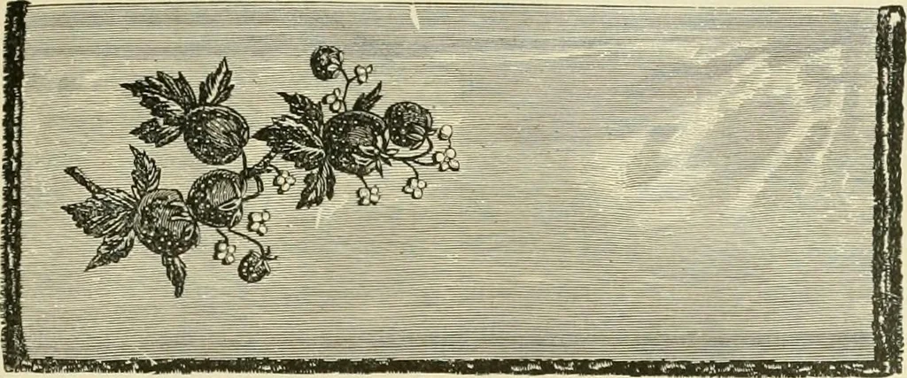 An illustration from Needle-craft: artistic and practical, 1889, leaf 278