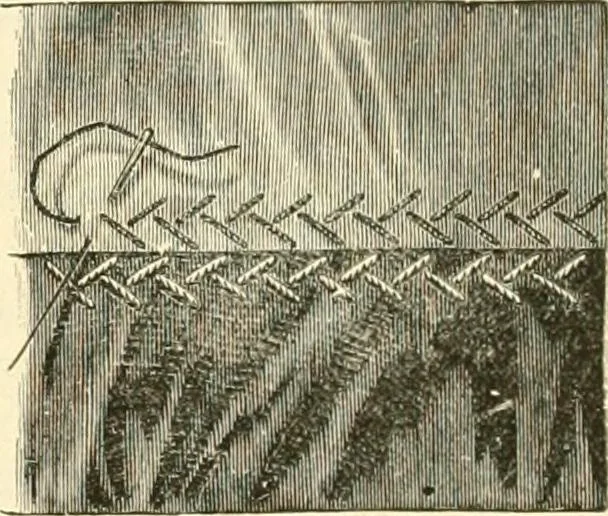 An illustration from Needle-craft: artistic and practical, 1889, leaf 281