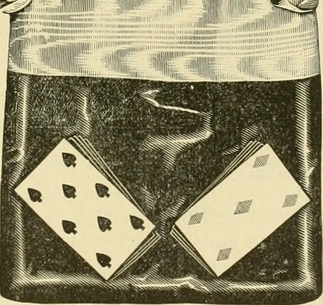 An illustration from Needle-craft: artistic and practical, 1889, leaf 288