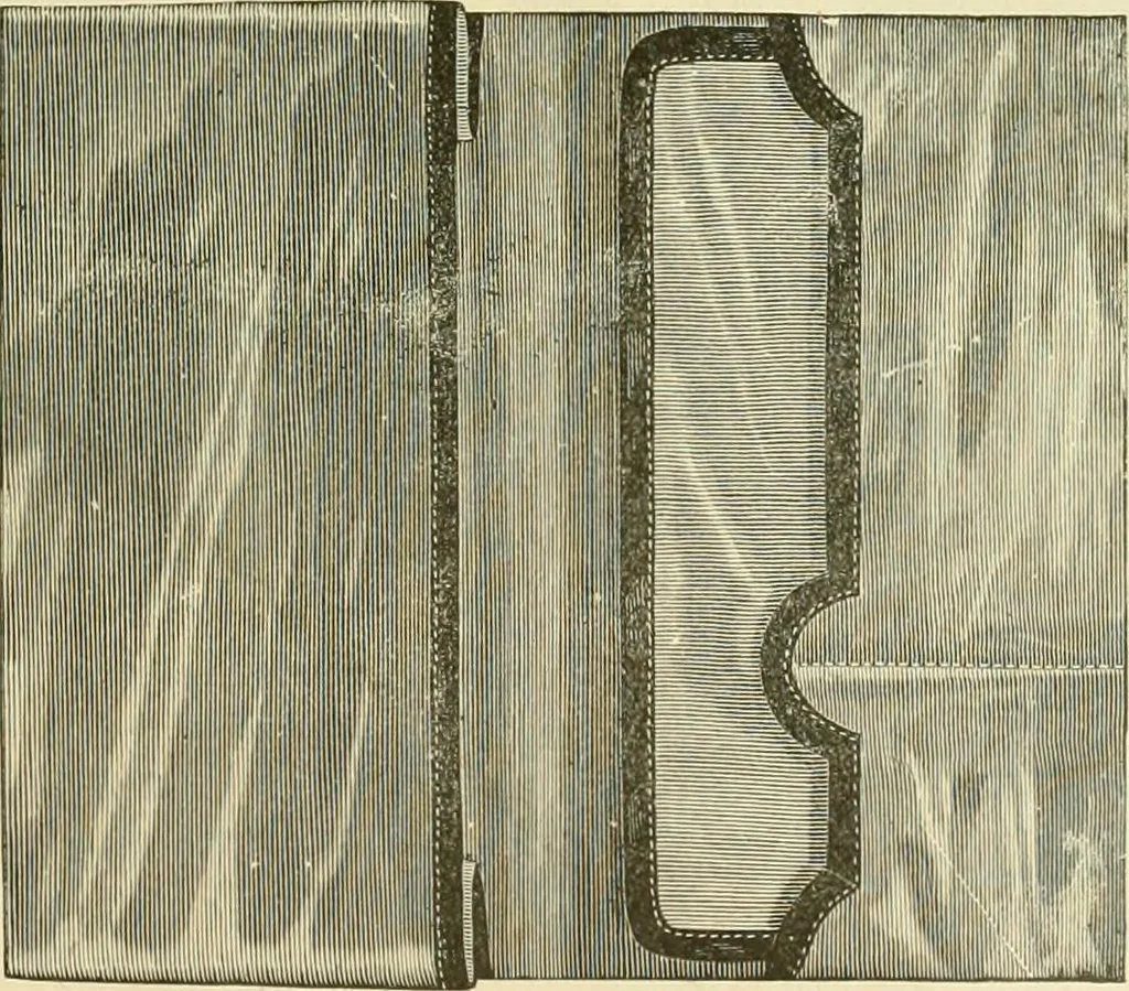 An illustration from Needle-craft: artistic and practical, 1889, leaf 294