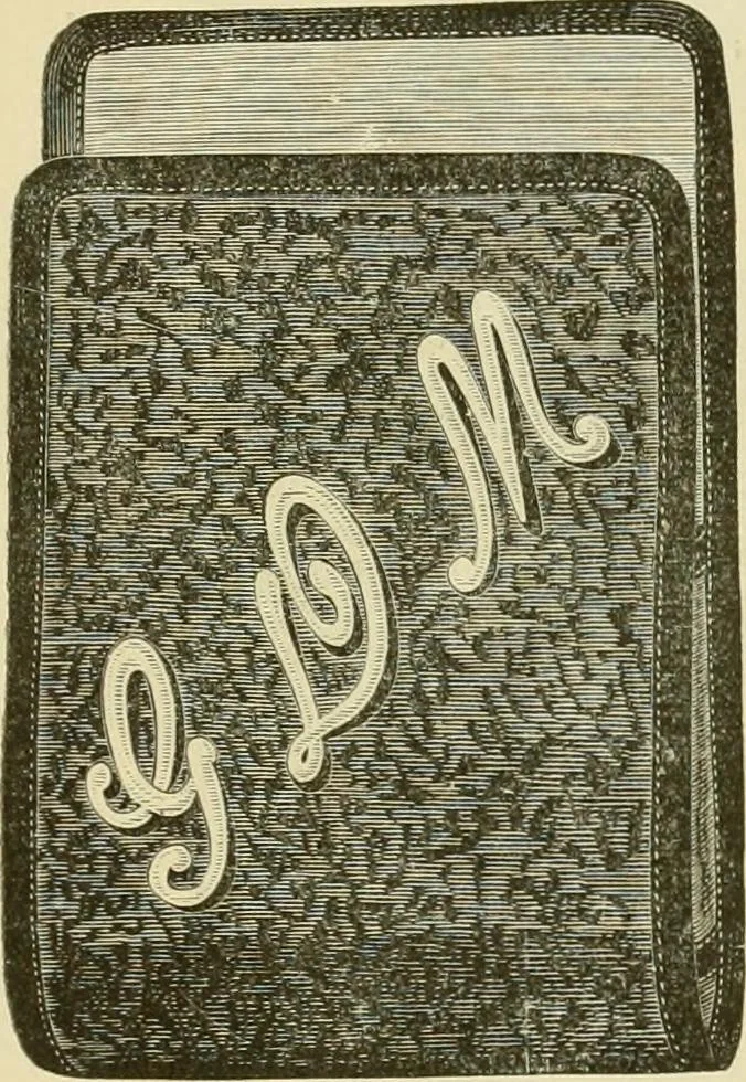 An illustration from Needle-craft: artistic and practical, 1889, leaf 296