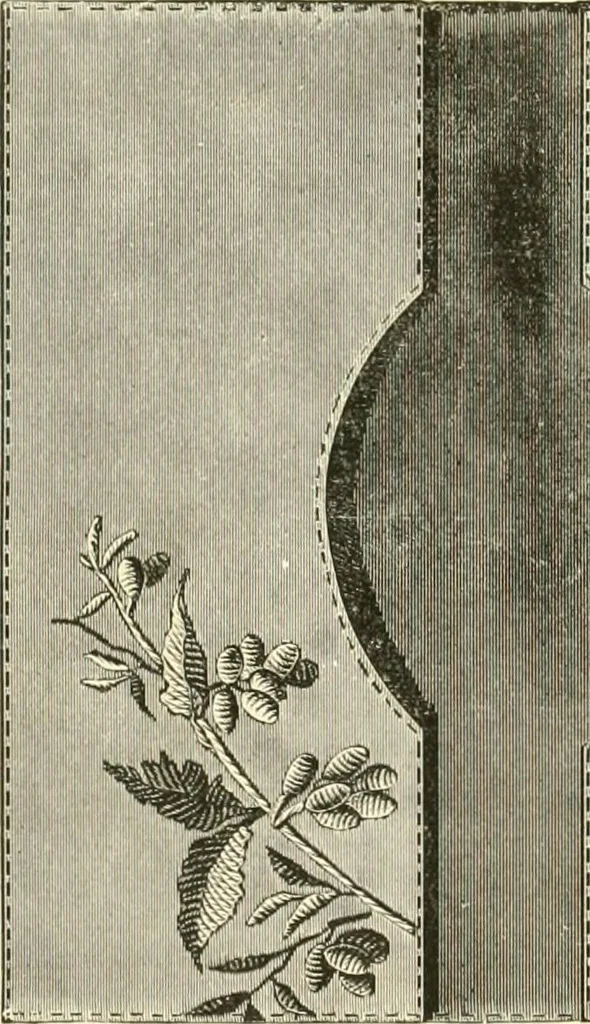 An illustration from Needle-craft: artistic and practical, 1889, leaf 297