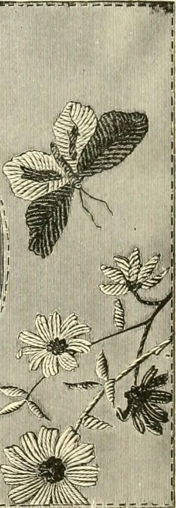 An illustration from Needle-craft: artistic and practical, 1889, leaf 297