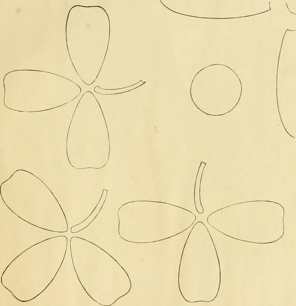 An illustration from Needle-craft: artistic and practical, 1889, leaf 320
