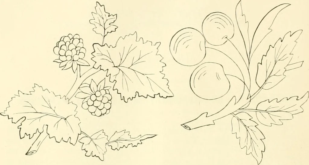 An illustration from Needle-craft: artistic and practical, 1889, leaf 41