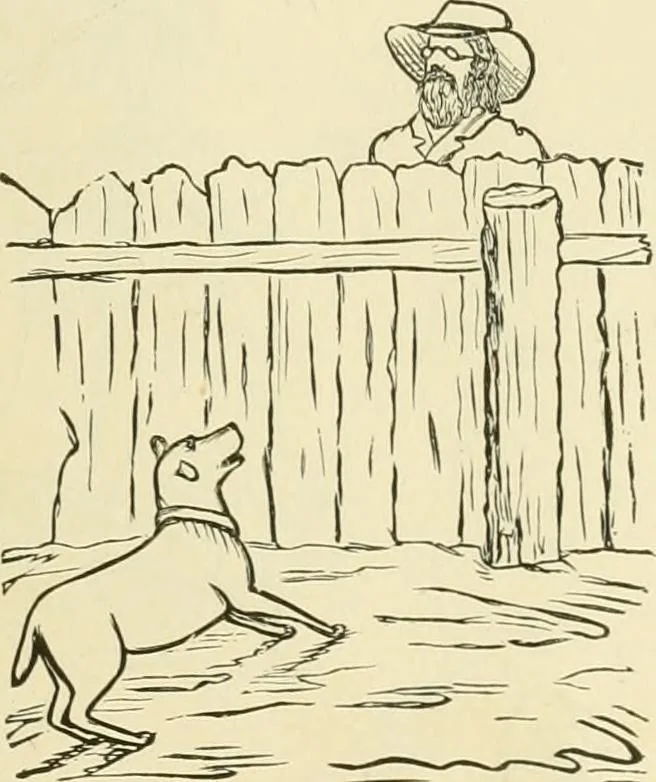 An illustration from Needle-craft: artistic and practical, 1889, leaf 46