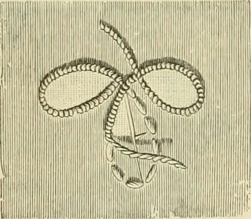 An illustration from Needle-craft: artistic and practical, 1889, leaf 54
