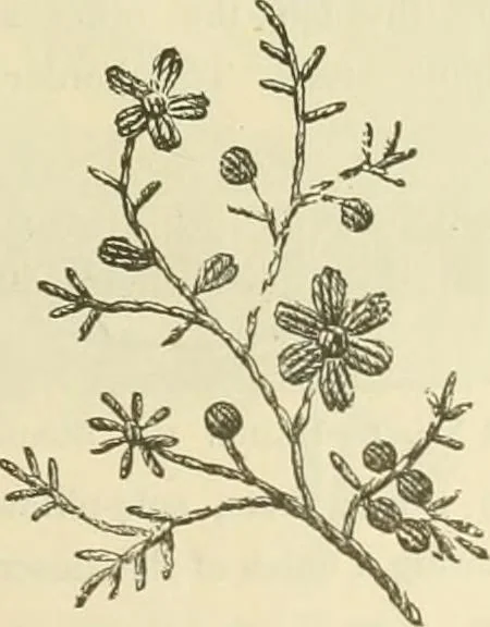 An illustration from Needle-craft: artistic and practical, 1889, leaf 54