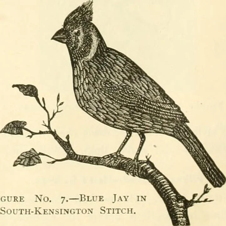 An illustration from Needle-craft: artistic and practical, 1889, leaf 55