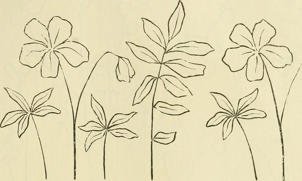 An illustration from Needle-craft: artistic and practical, 1889, leaf 58