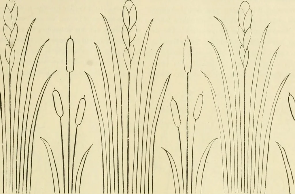 An illustration from Needle-craft: artistic and practical, 1889, leaf 60