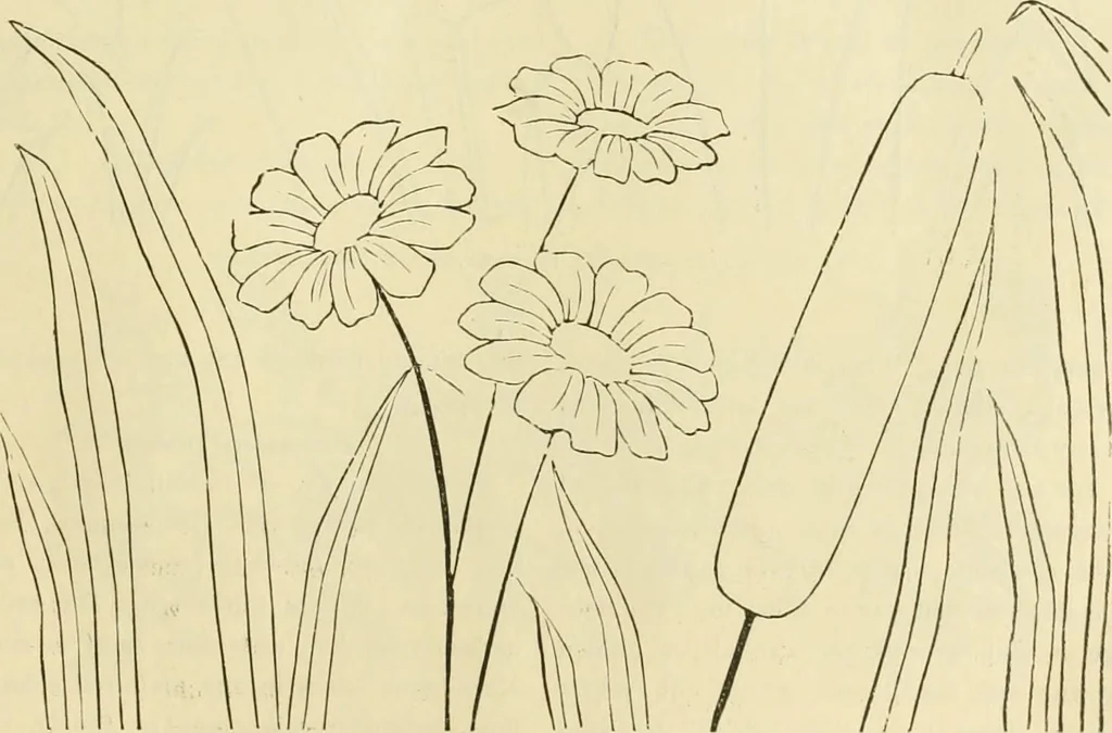 An illustration from Needle-craft: artistic and practical, 1889, leaf 60