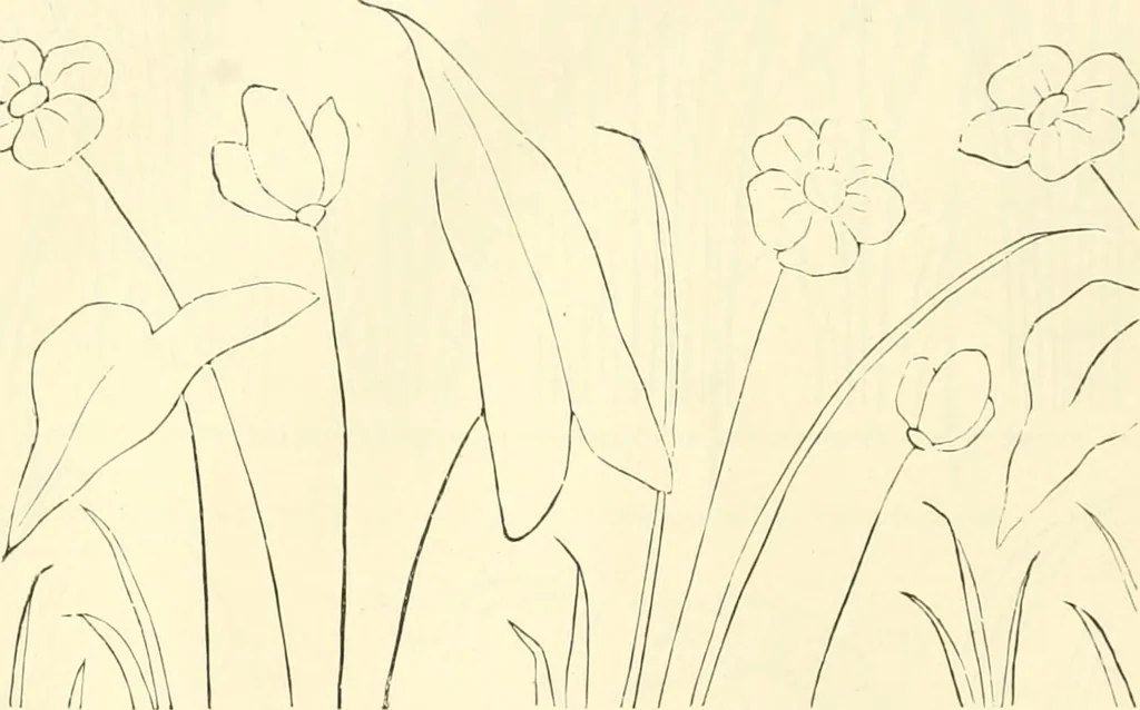 An illustration from Needle-craft: artistic and practical, 1889, leaf 61