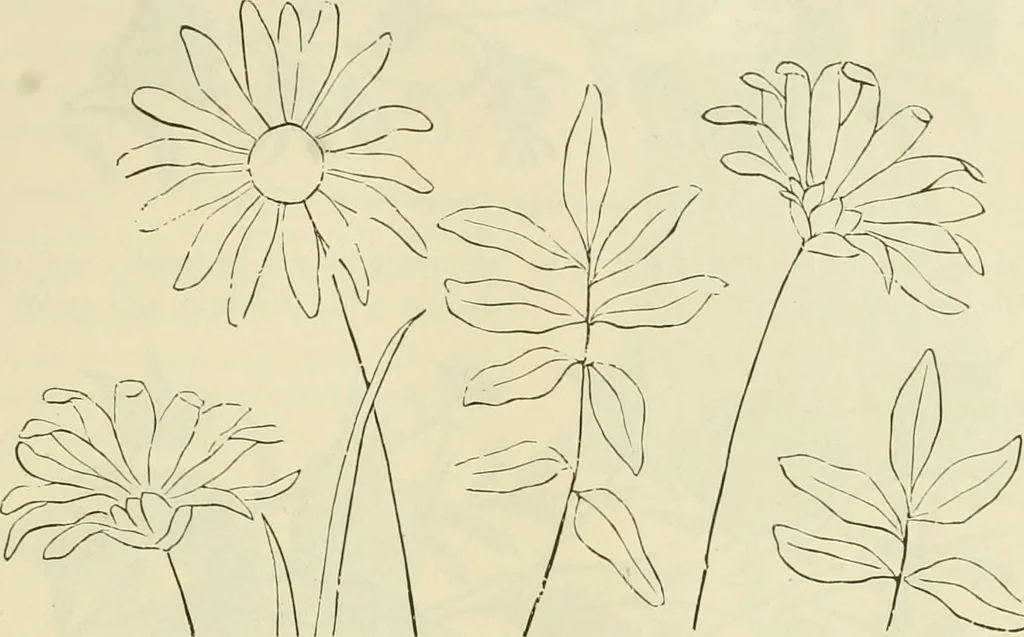 An illustration from Needle-craft: artistic and practical, 1889, leaf 62