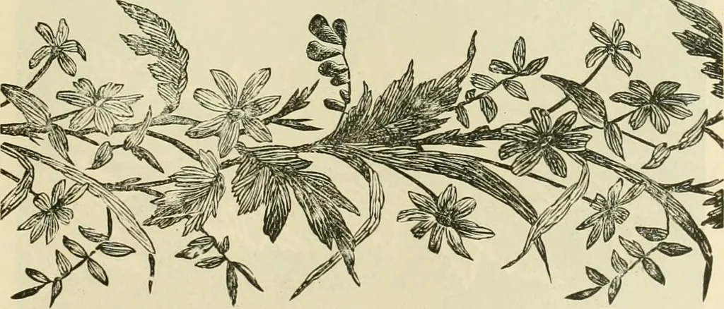 An illustration from Needle-craft: artistic and practical, 1889, leaf 62