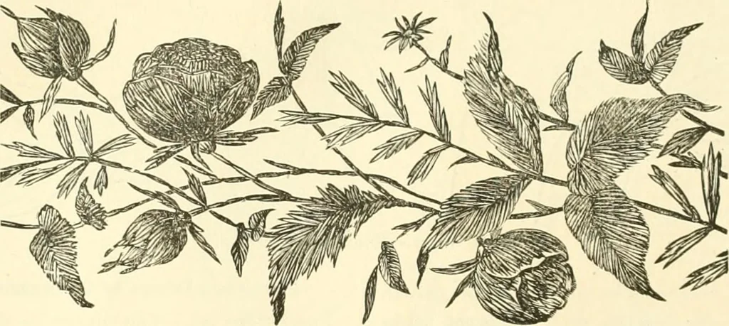An illustration from Needle-craft: artistic and practical, 1889, leaf 63