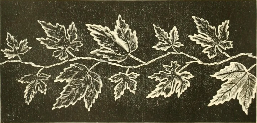 An illustration from Needle-craft: artistic and practical, 1889, leaf 63