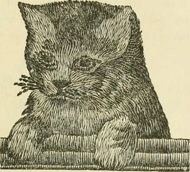 An illustration from Needle-craft: artistic and practical, 1889, leaf 64