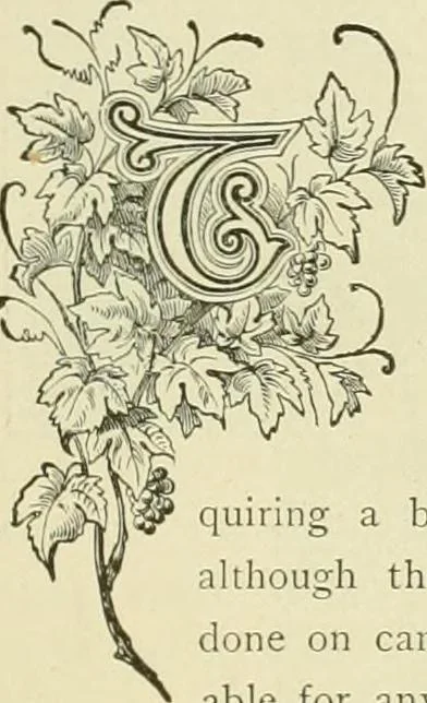 An illustration from Needle-craft: artistic and practical, 1889, leaf 78