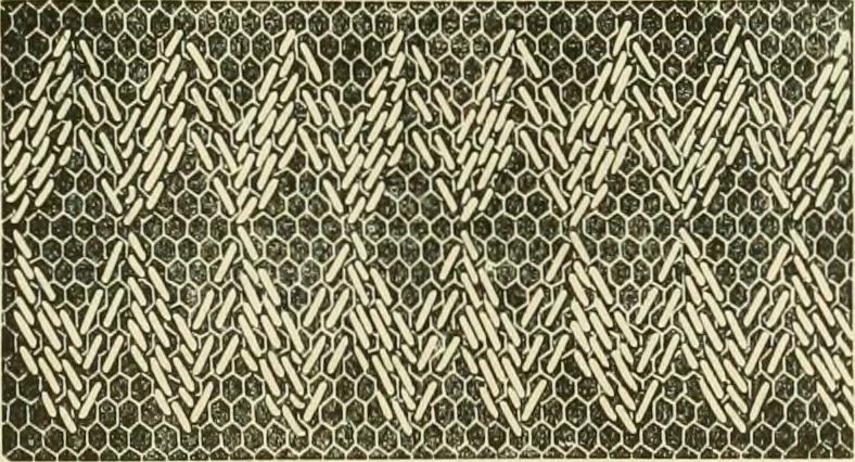 An illustration from Needle-craft: artistic and practical, 1889, leaf 92