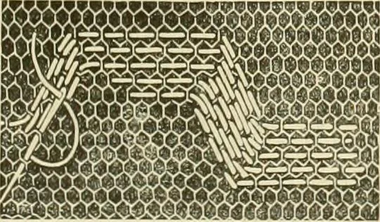 An illustration from Needle-craft: artistic and practical, 1889, leaf 92