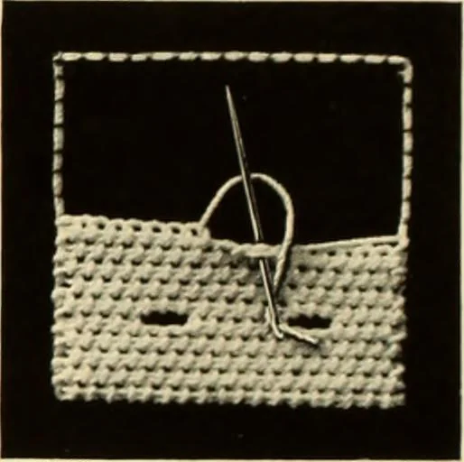 An illustration from Needle-made laces, 1890, leaf 8