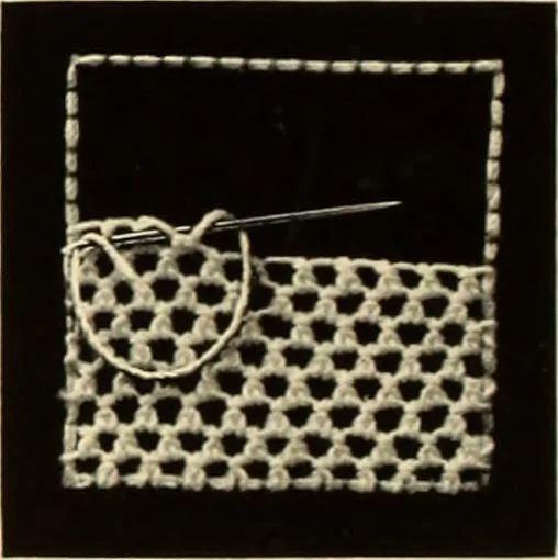 An illustration from Needle-made laces, 1890, leaf 8