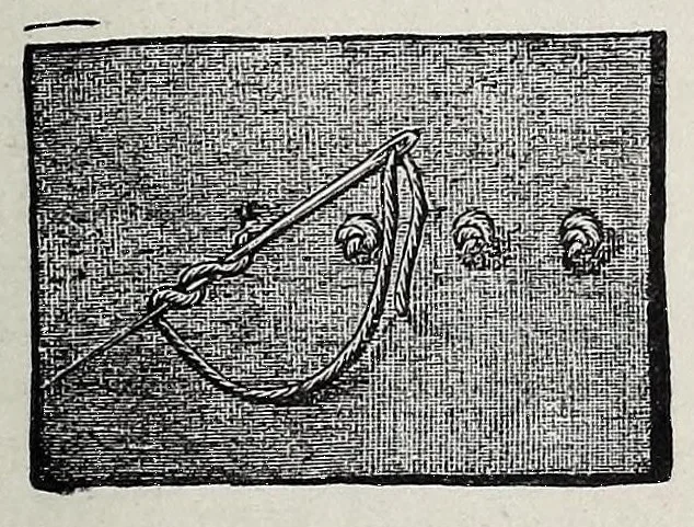 An illustration from Needles and brushes, and how to use them; a manual of fancy work, 1887, leaf 35