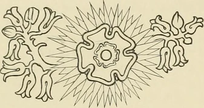 An illustration from Needlework as art, 1886, leaf 156