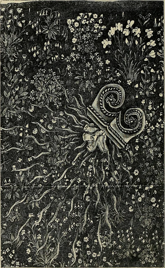 An illustration from Needlework as art, 1886, leaf 379