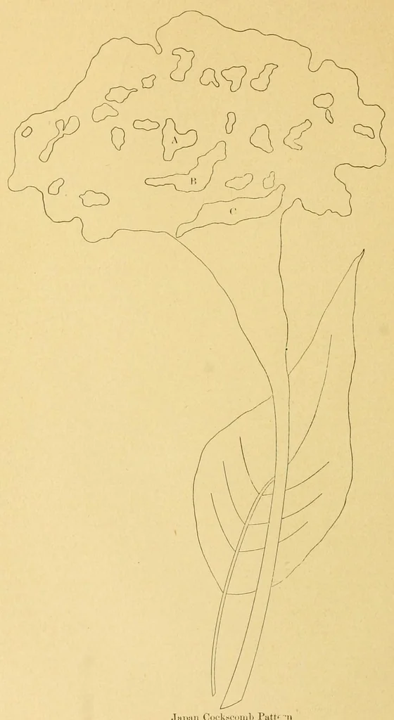 An illustration from The needle workers' guide without a teacher .., 1895, leaf 20