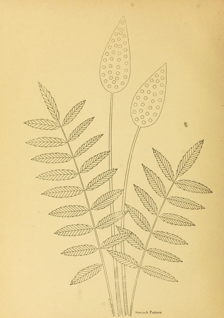 An illustration from The needle workers' guide without a teacher .., 1895, leaf 22