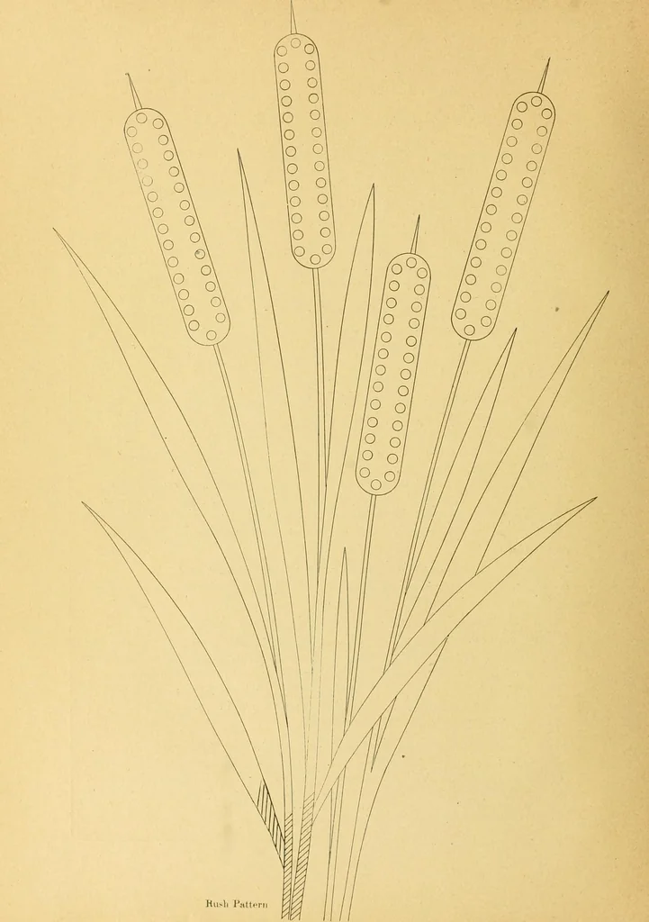 An illustration from The needle workers' guide without a teacher .., 1895, leaf 24