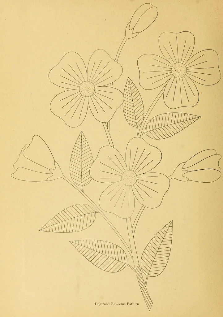An illustration from The needle workers' guide without a teacher .., 1895, leaf 26