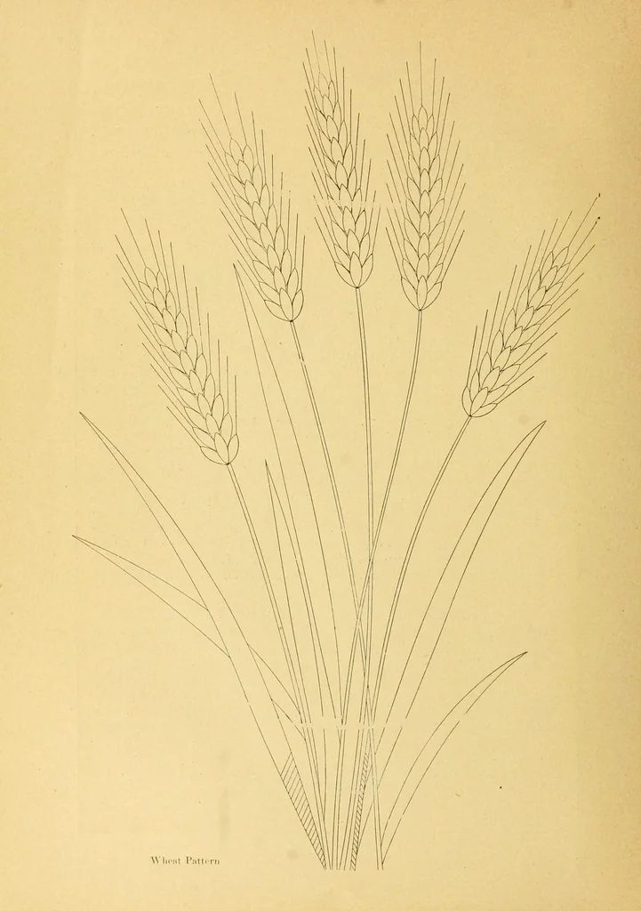 An illustration from The needle workers' guide without a teacher .., 1895, leaf 28
