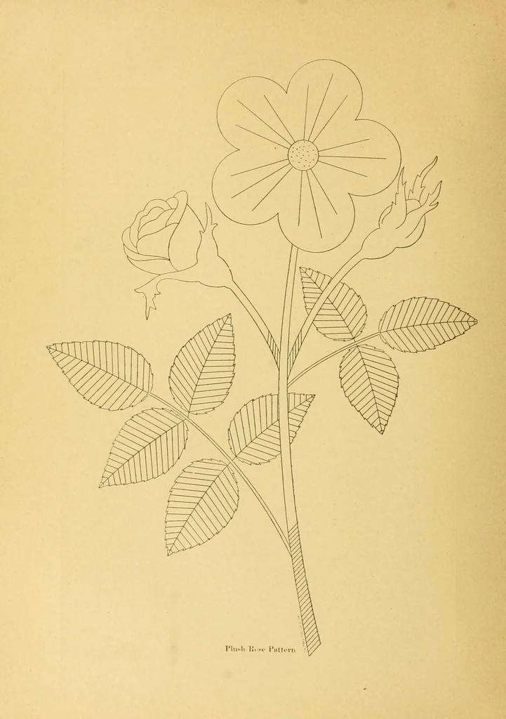 An illustration from The needle workers' guide without a teacher .., 1895, leaf 32