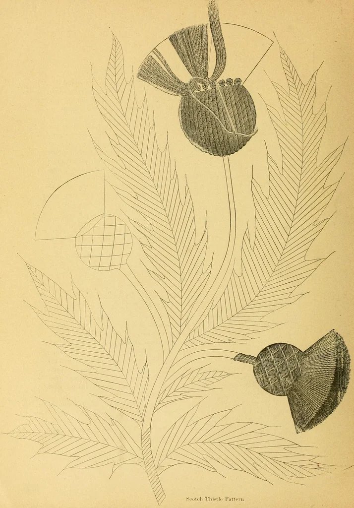 An illustration from The needle workers' guide without a teacher .., 1895, leaf 34