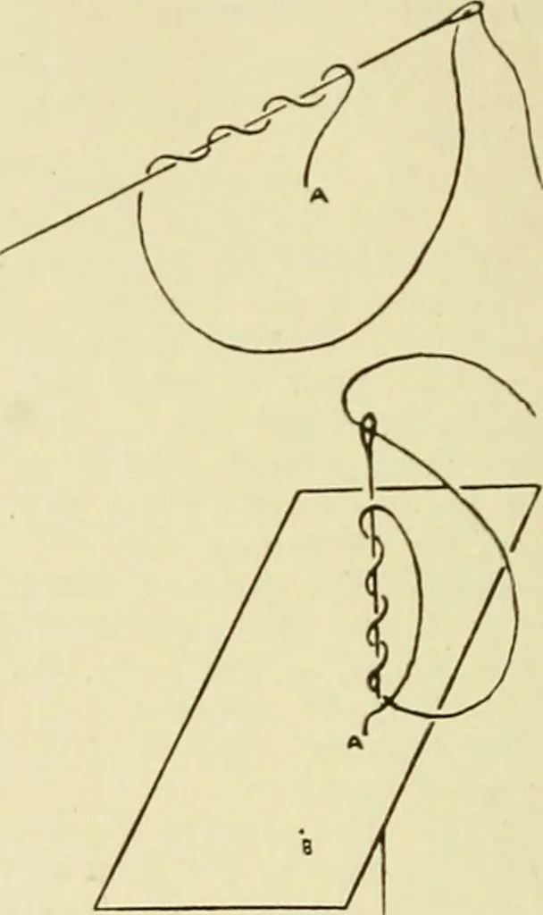 An illustration from Needlework without "specimens": the modern book of school needlework, 1900, leaf 117