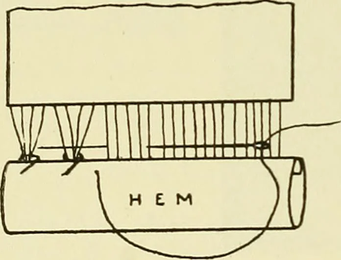 An illustration from Needlework without "specimens": the modern book of school needlework, 1900, leaf 147