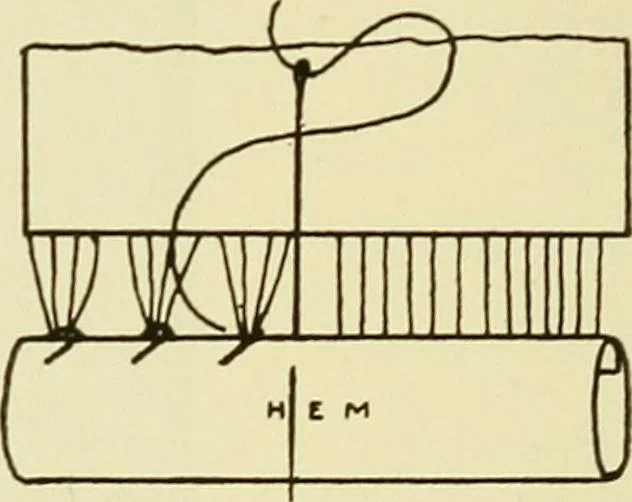 An illustration from Needlework without "specimens": the modern book of school needlework, 1900, leaf 147