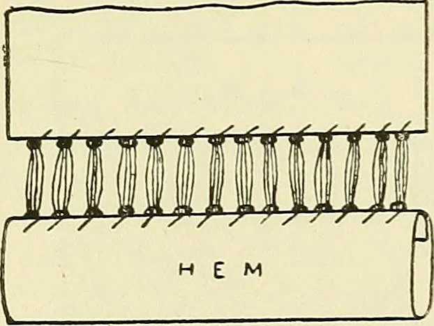An illustration from Needlework without "specimens": the modern book of school needlework, 1900, leaf 147