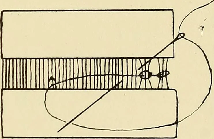 An illustration from Needlework without "specimens": the modern book of school needlework, 1900, leaf 170