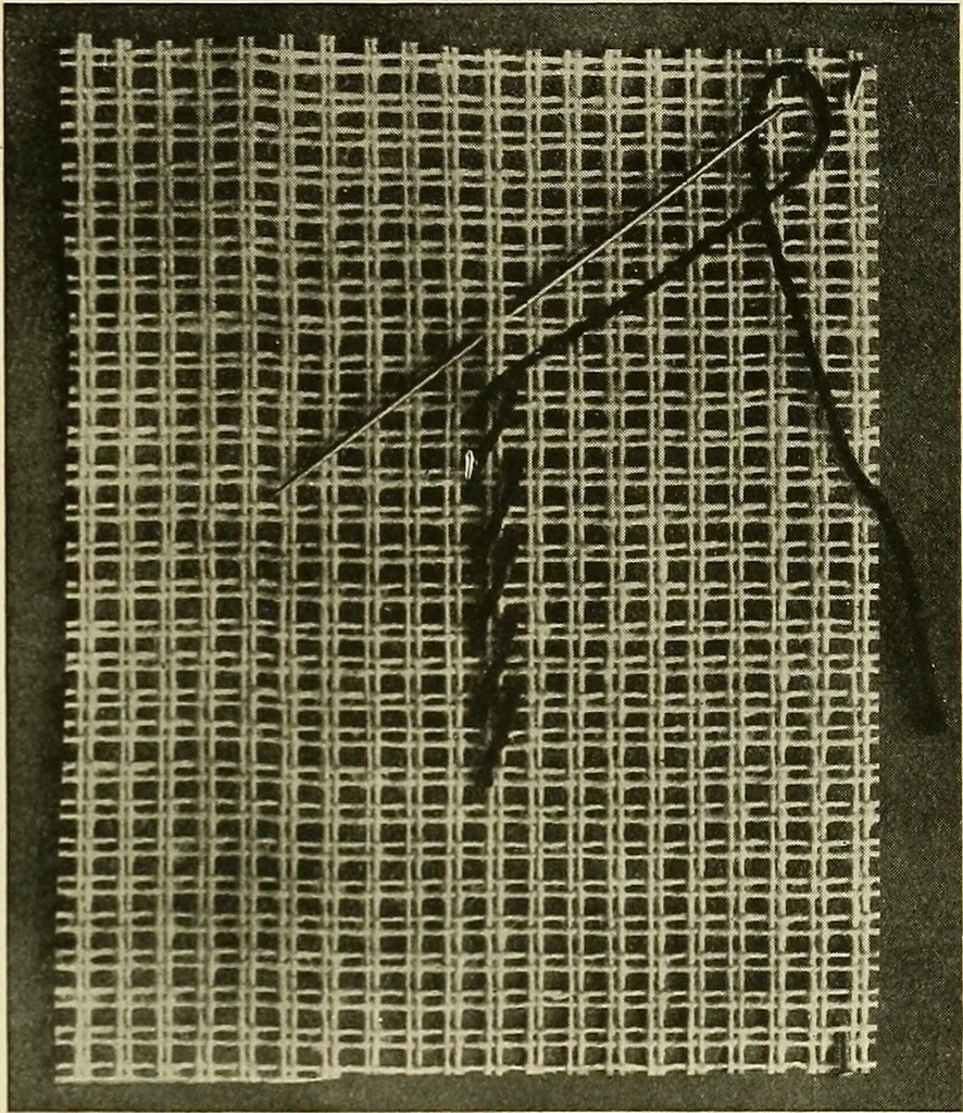 An illustration from Needlework without "specimens": the modern book of school needlework, 1900, leaf 96
