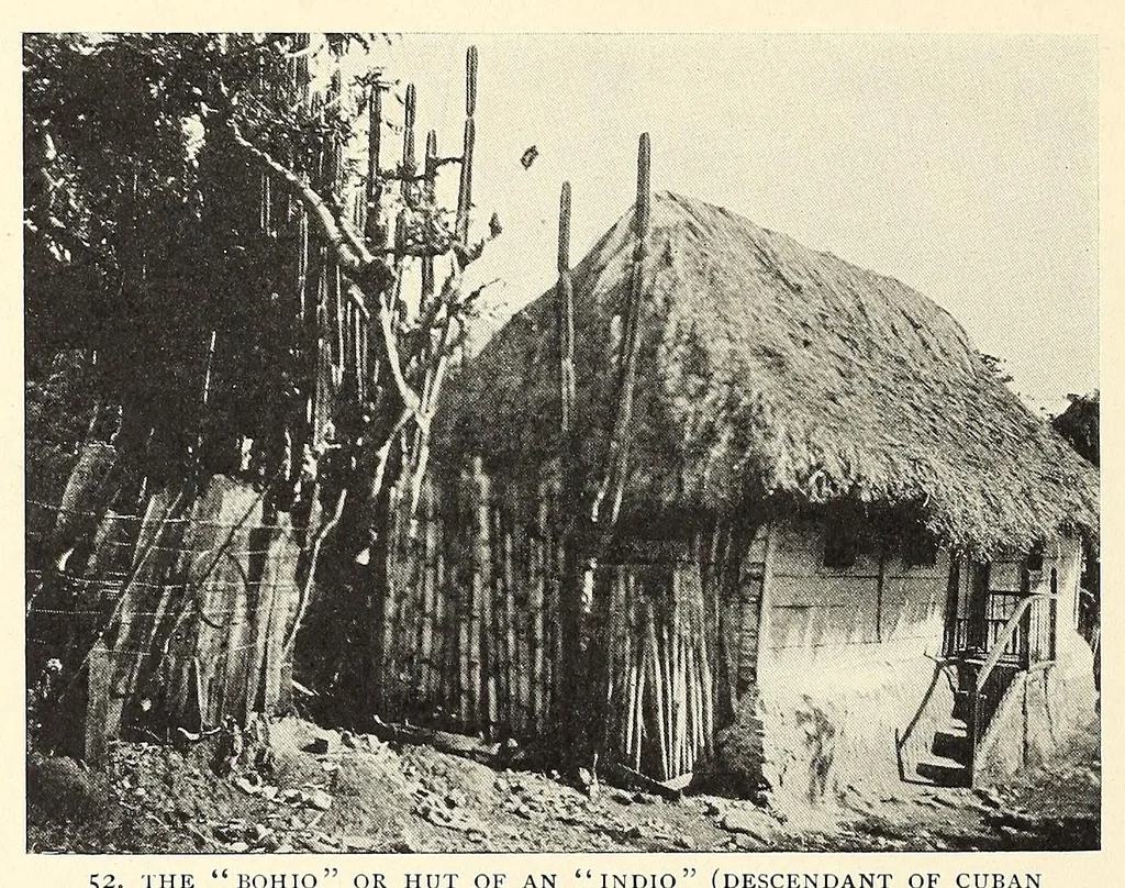An illustration from The Negro in the New world, 1910, leaf 100