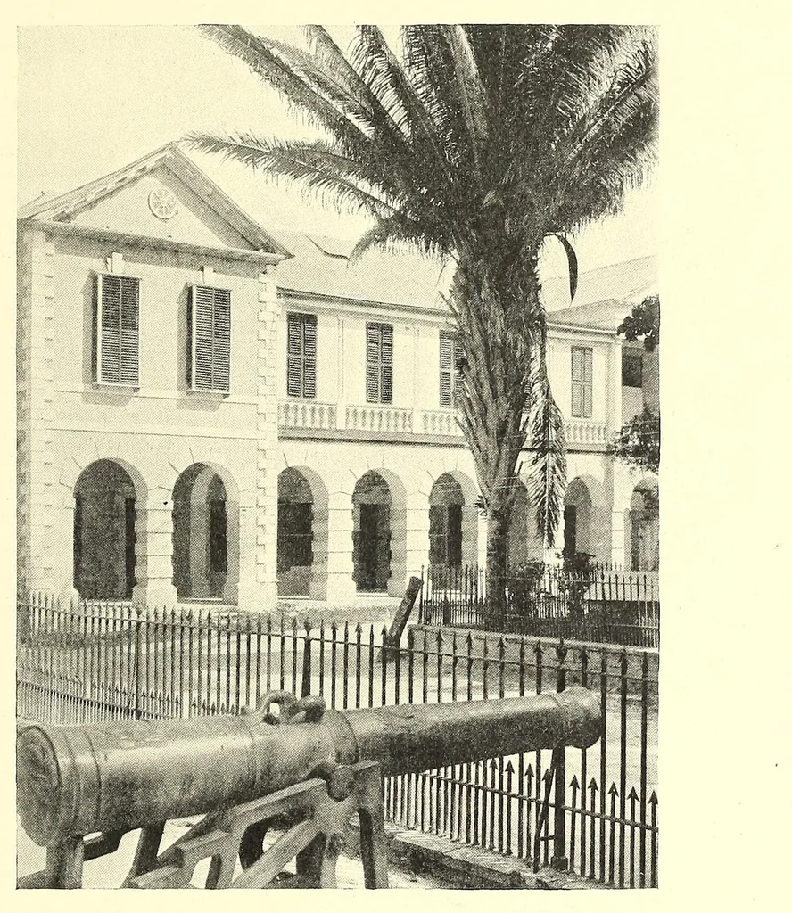 An illustration from The Negro in the New world, 1910, leaf 295