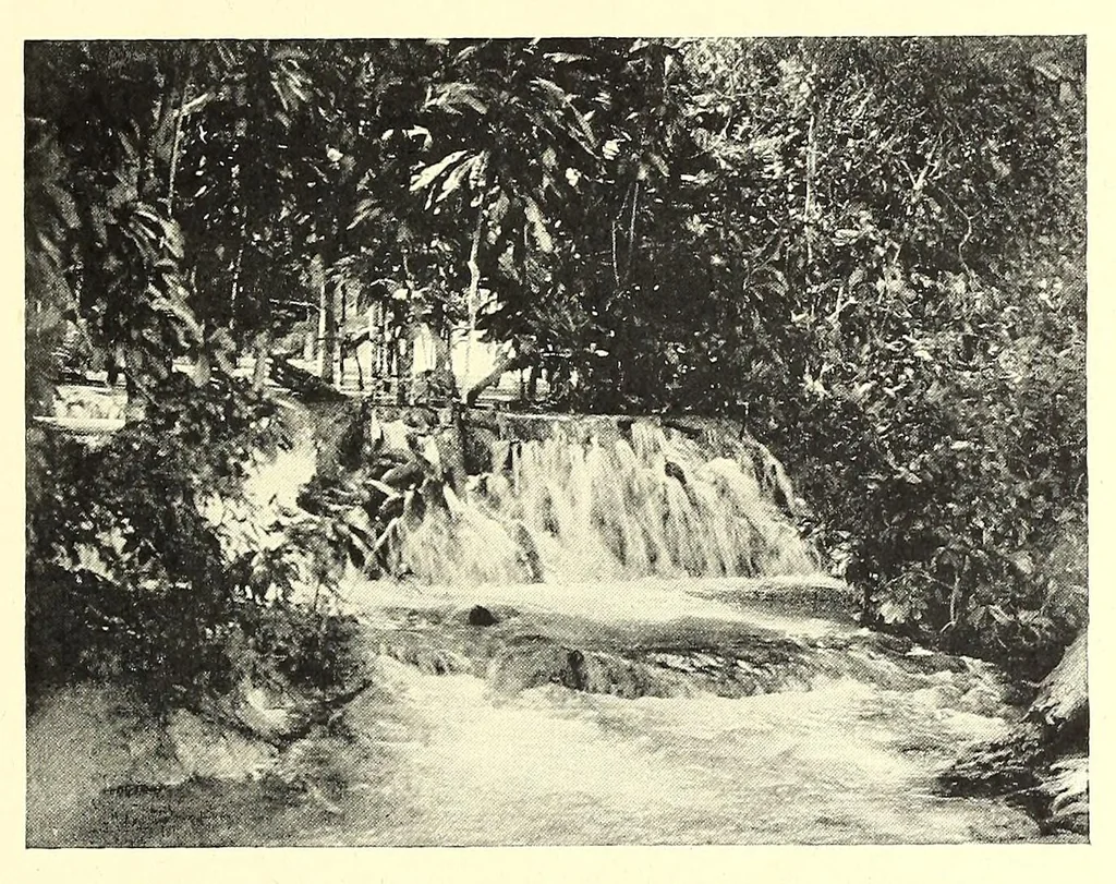 An illustration from The Negro in the New world, 1910, leaf 327