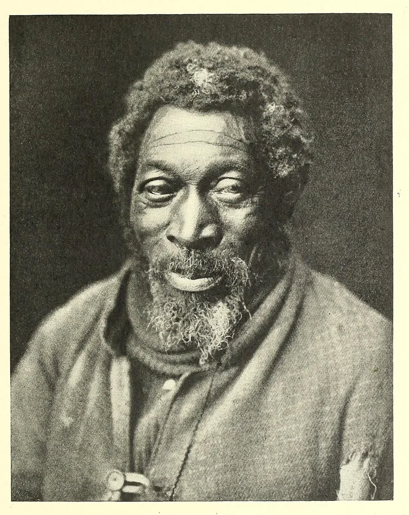 An illustration from The Negro in the New world, 1910, leaf 415