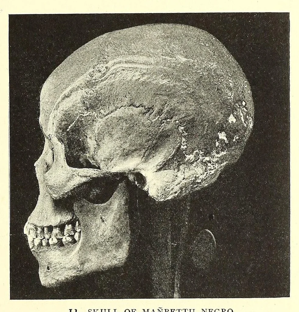 An illustration from The Negro in the New world, 1910, leaf 51